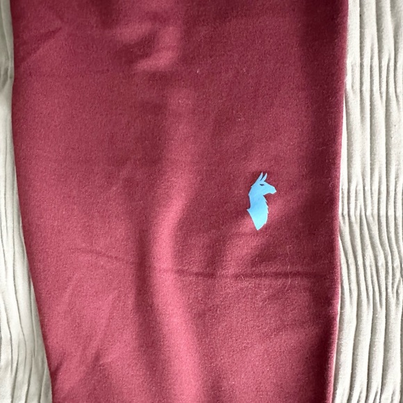 NWT Cotopaxi Liso Baselayer Bottom Legging in Port Wine / S - Picture 5 of 7